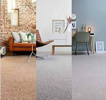 Best Wool Pure Venus